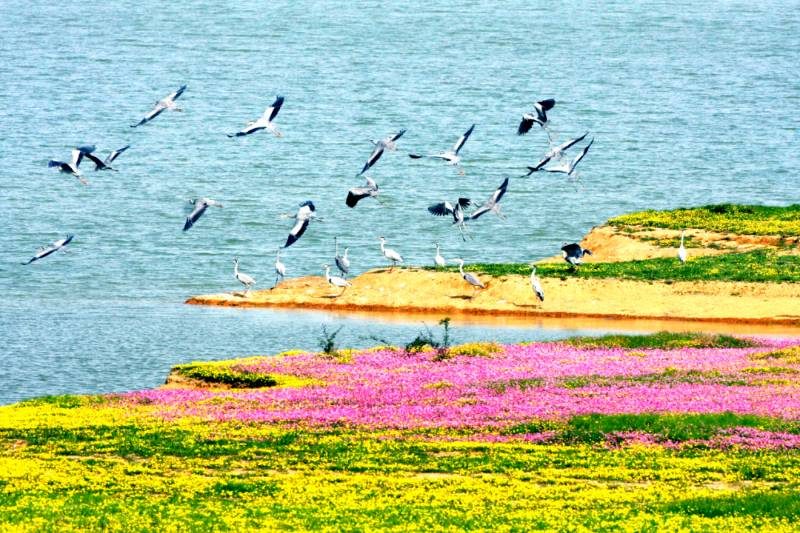 1768375205399261.jpg 7.jpg