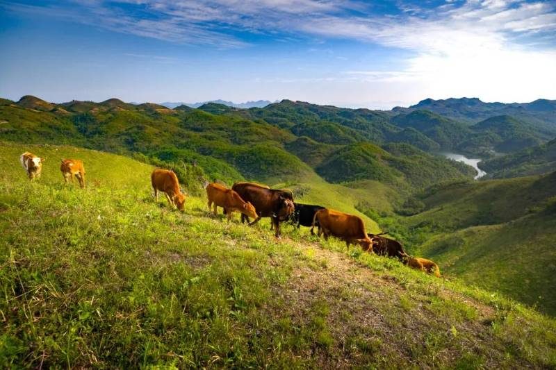 1768375235870174.jpg 10.jpg