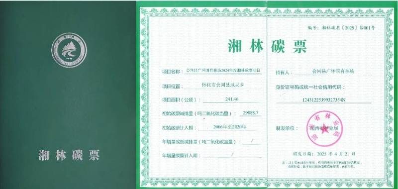 1768375245248652.jpg 11.jpg