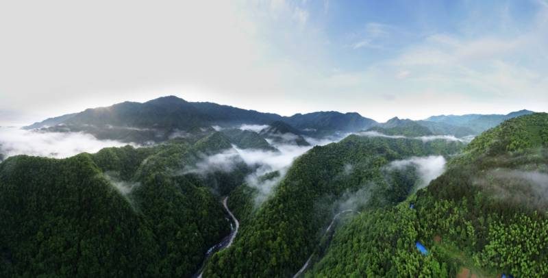 1768375255637350.jpg 12.jpg