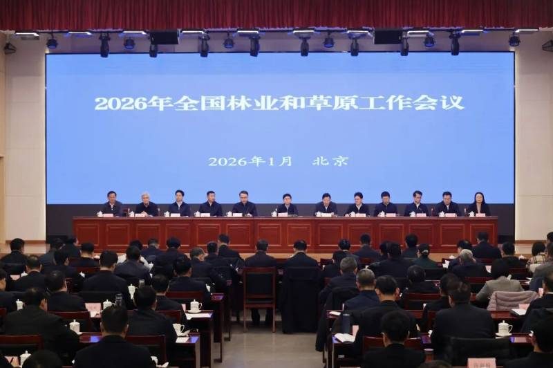 1768467527458420.jpg 4 (1).jpg