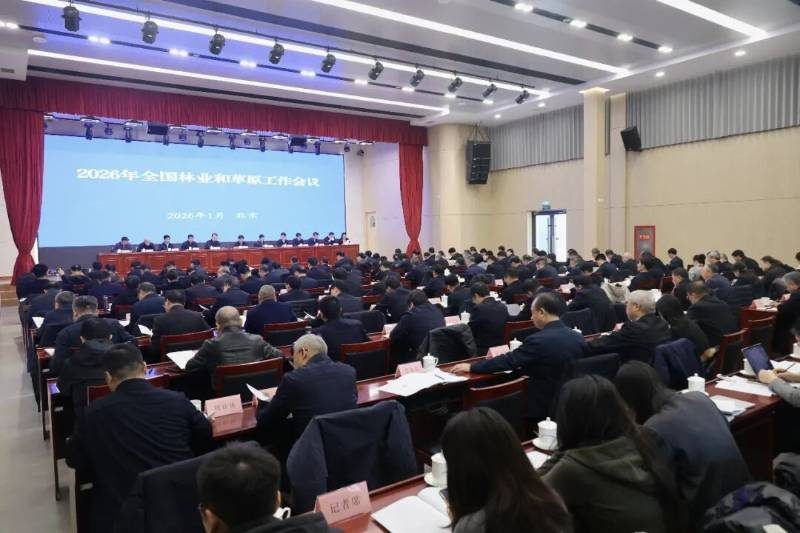 1768467540763834.jpg 5 (1).jpg