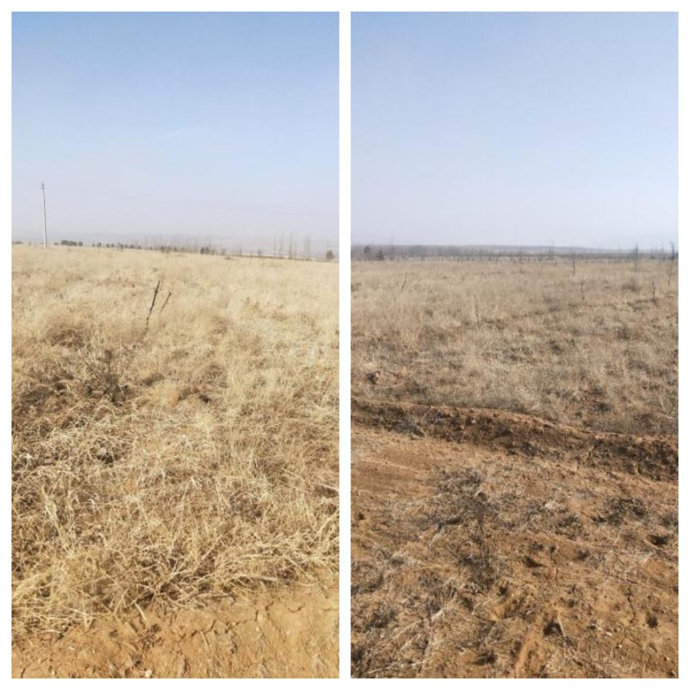 1770361925695435.jpg 新的_副本.jpg