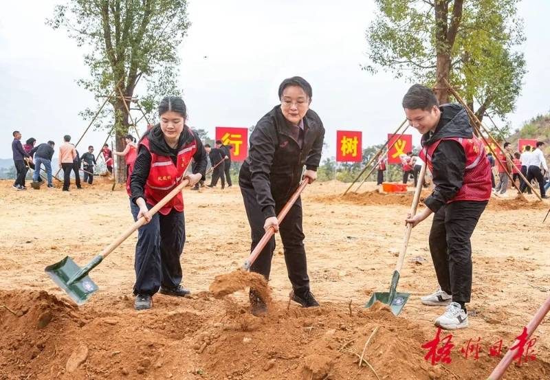 1771990392304547.jpg 1771990392304547.jpg