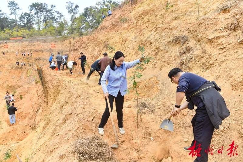 1771990457523620.jpg 1771990457523620.jpg