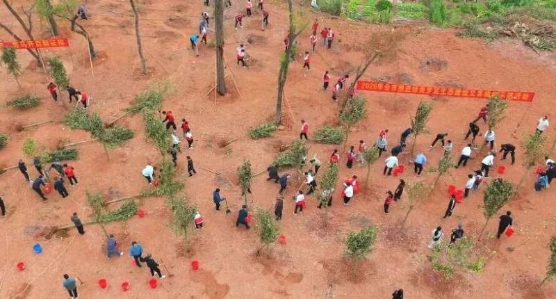 1772077256599608.jpg 1 (1).jpg