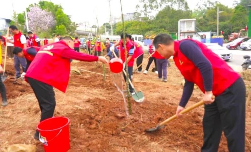 1772077285537134.jpg 3 (1).jpg