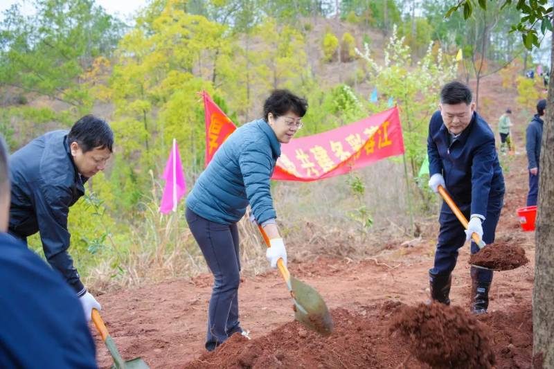 1772082834318514.jpg 5.jpg