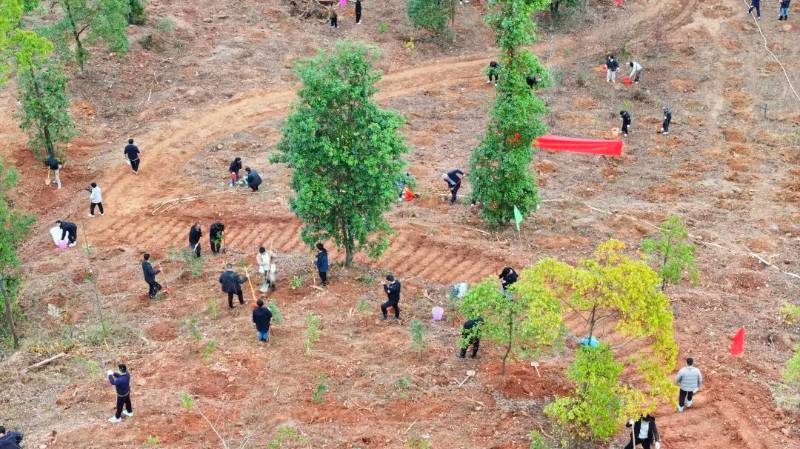 1772082862611101.jpg 8.jpg