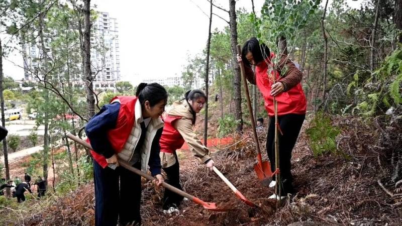 1772084106755297.jpg 4.jpg