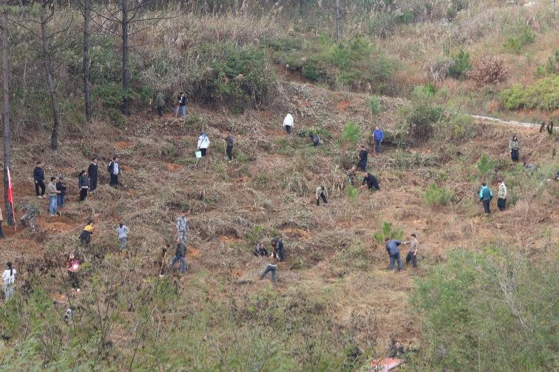 1772084703682036.jpg 1 (1).jpg