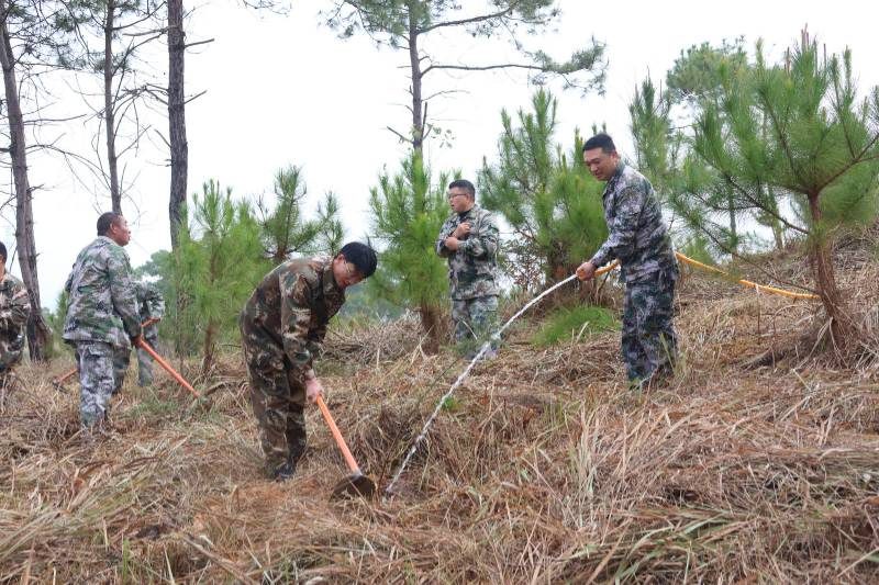 1772084714210160.jpg 2 (1).jpg