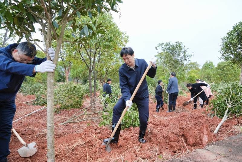 1772086306849250.jpg 4 (1).jpg