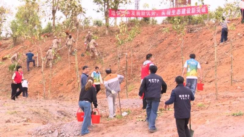 1772090272935830.jpg 3.jpg