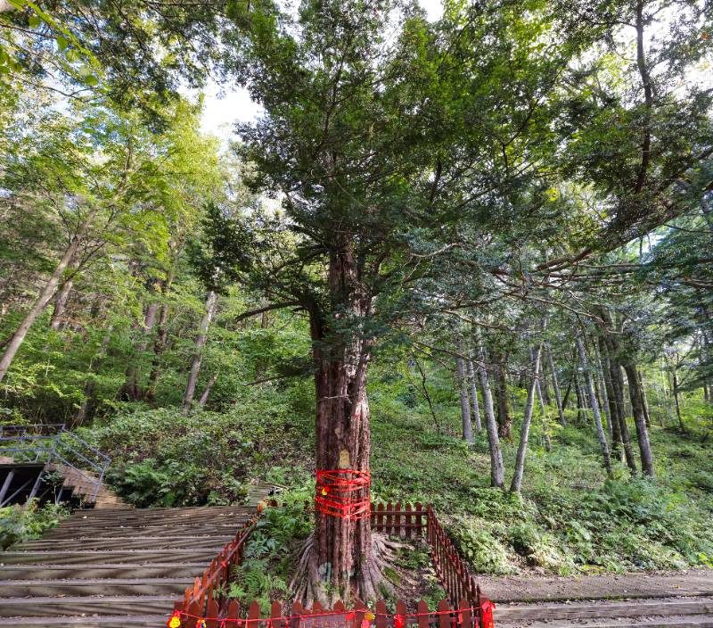 1772263499460965.jpg 3b7d0a7a15b3e6f809102a057b377c99.jpg