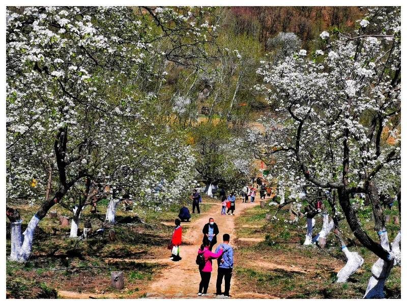 1772263516328042.jpg 1772263516328042.jpg