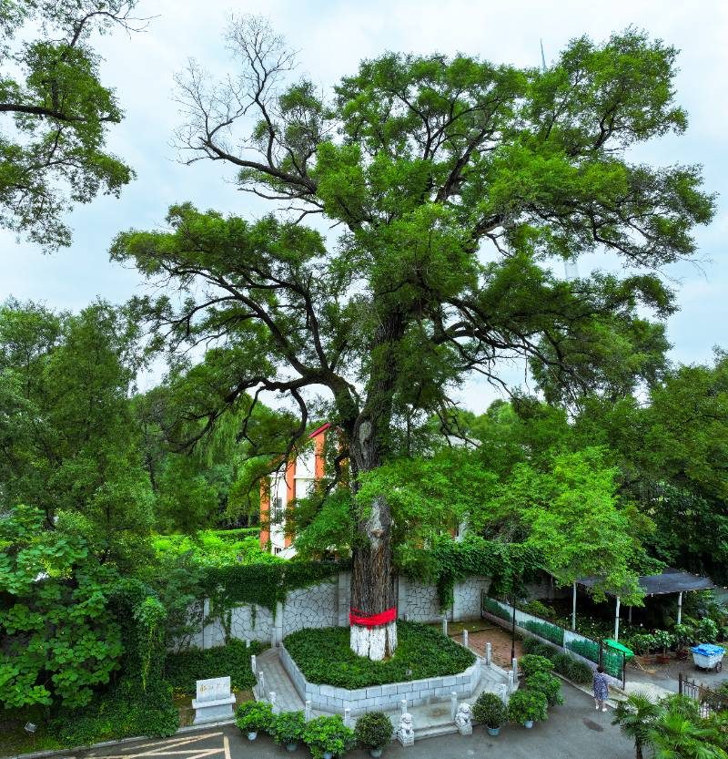 1772263524217167.jpg d051f8e7e9deeecc08b6799423d4e87c.jpg