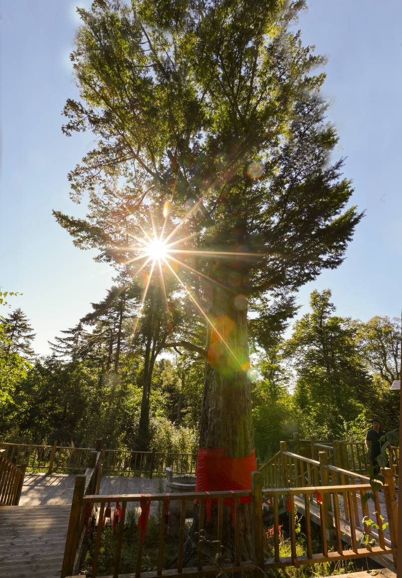 1772263529462102.jpg fb4e6a2f4f89ef0ec28e1c196369bae5.jpg