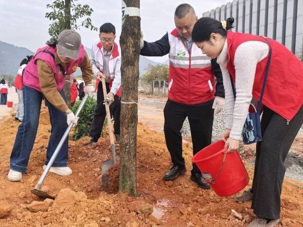 1772500231900587.jpg 6.jpg