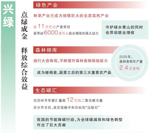 1772528583272069.jpg 5.jpg