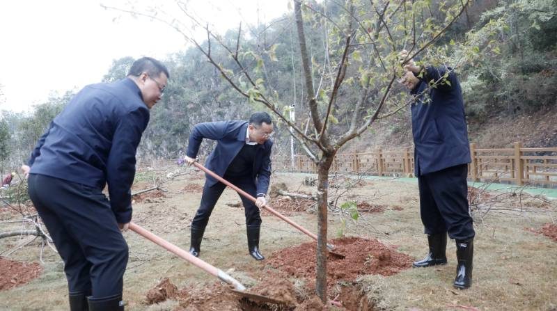 1772696539148766.jpg 6.jpg