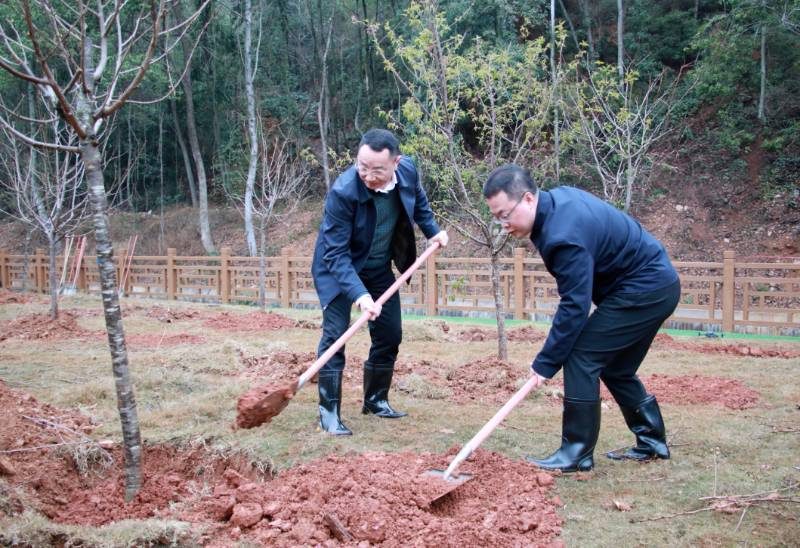 1772696547917881.jpg 7.jpg