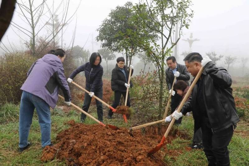 1772698245551989.jpg 2.jpg