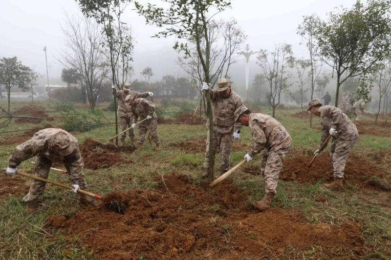 1772698253396263.jpg 3.jpg