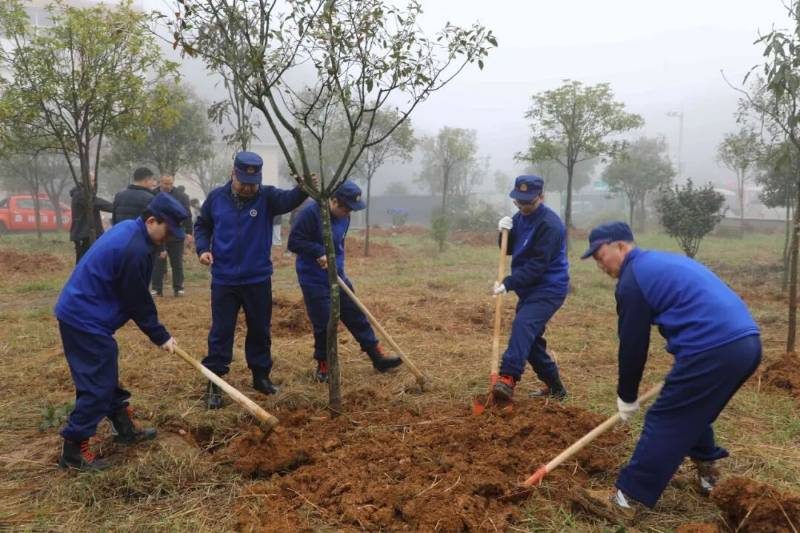 1772698260360009.jpg 4.jpg