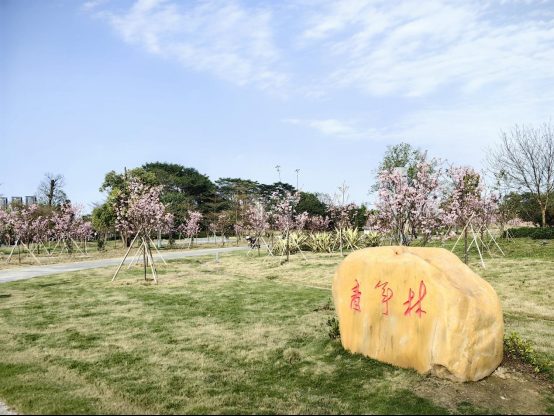 1772766716383441.jpg 1772766716383441.jpg