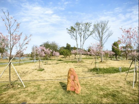 1772766719110323.jpg 1772766719110323.jpg