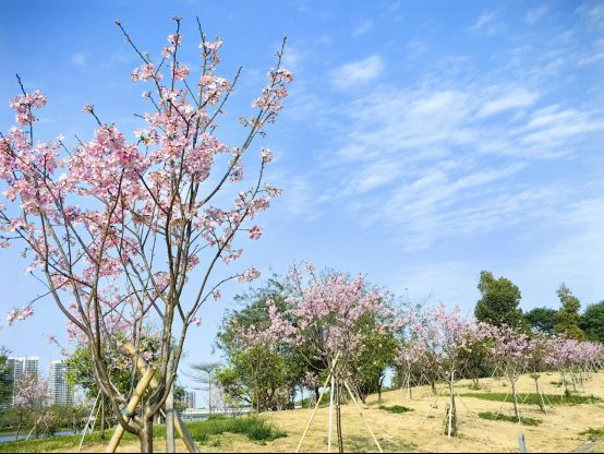 1772766722879963.jpg 1772766722879963.jpg