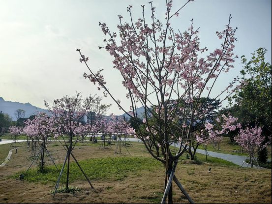 1772766725385452.jpg 1772766725385452.jpg