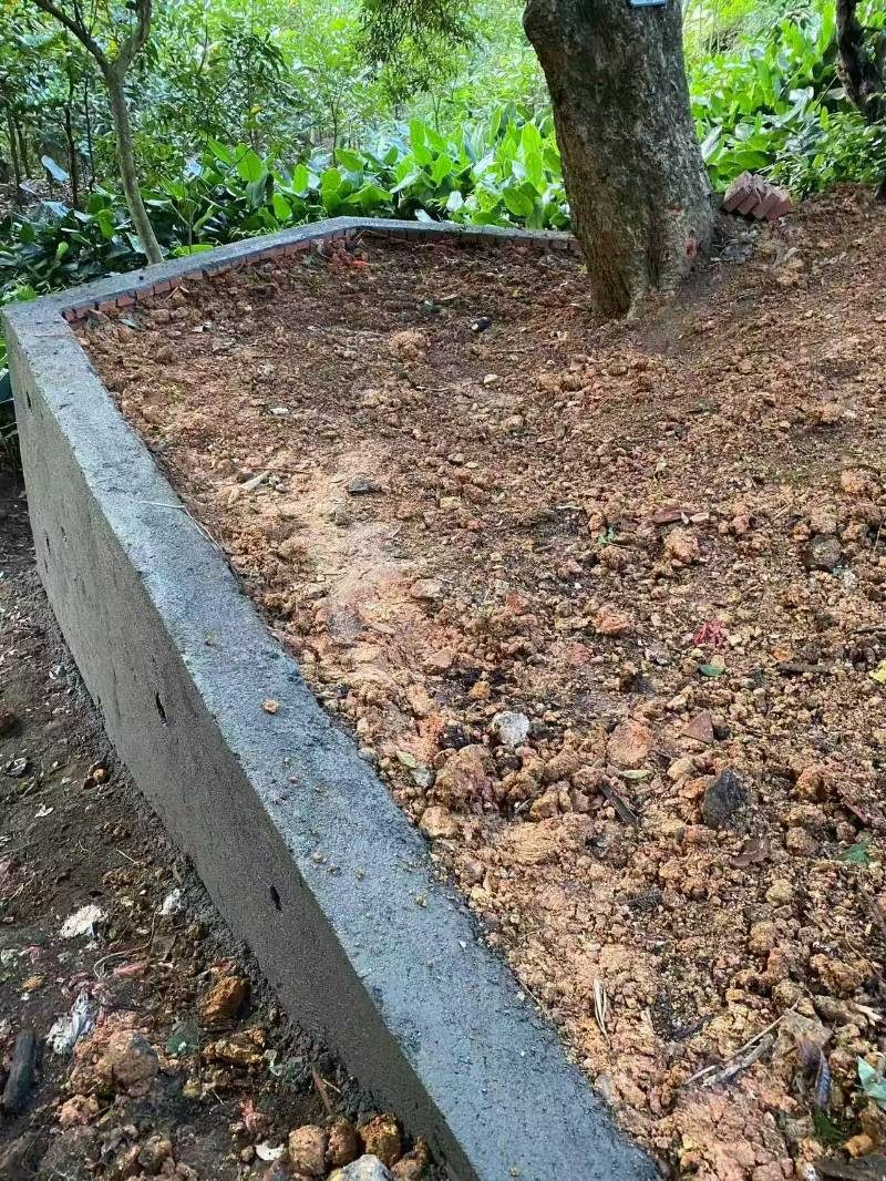 1773048281802817.jpg 7211ee2adf6e82172beb0496e1ffe65d.jpg