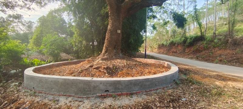 1773048298343247.jpg 微信图片_20241119170241.jpg