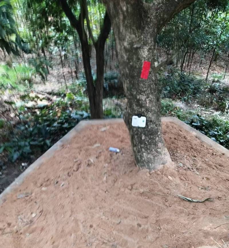 1773048359282789.jpg 251df76c70e3f9e24a846eea982224bc.jpg