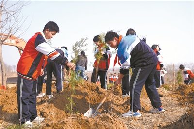 1773643989254591.jpg 5.jpg