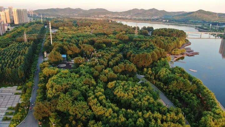 1773711373228848.jpg 5.jpg