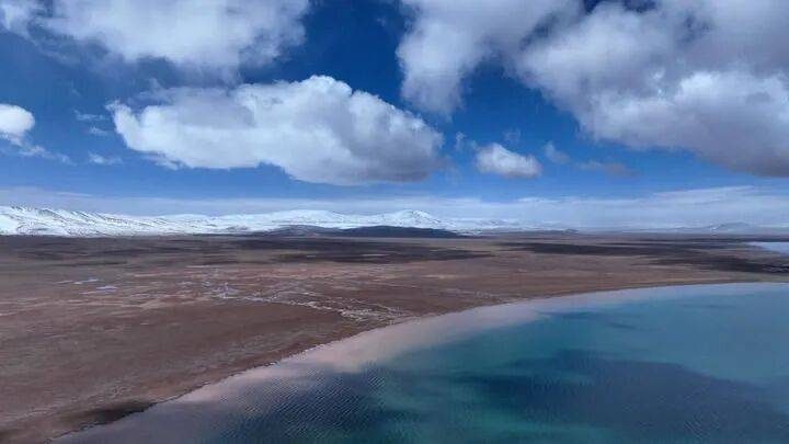 1773711406257529.jpg 7.jpg