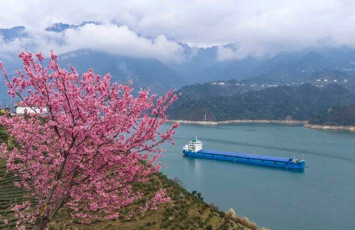 1773711458133970.jpg 9.jpg