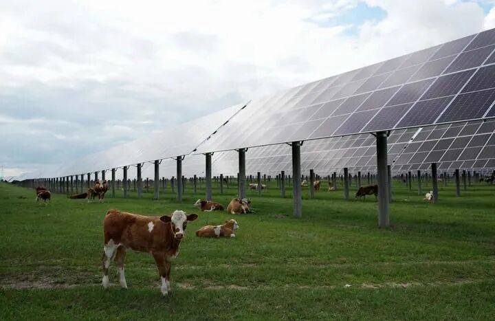 1773711472608966.jpg 10.jpg