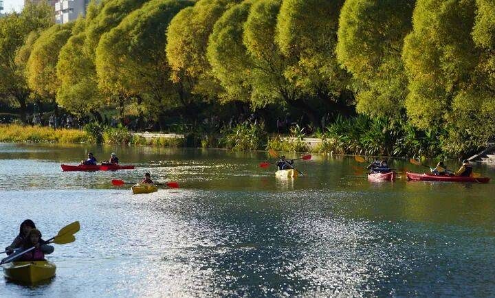 1773711495445823.jpg 12.jpg