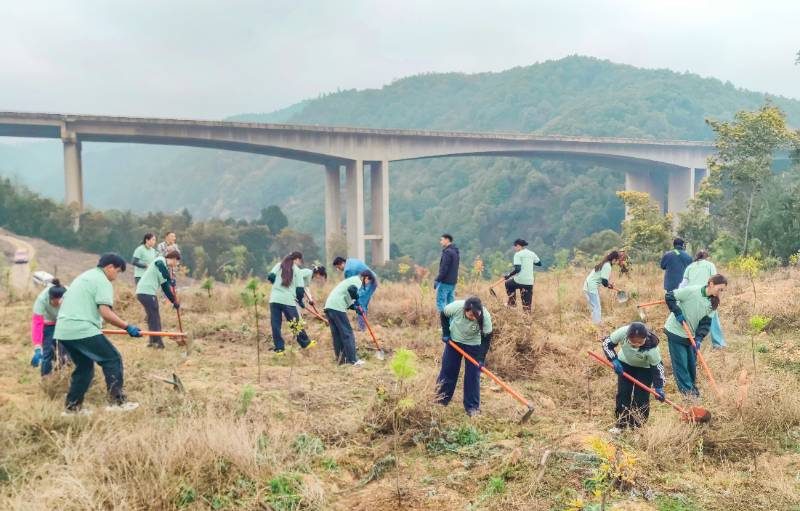 1773809822689229.jpg 1 (1).jpg