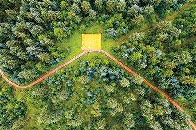 1774243528783121.jpg 33.jpg