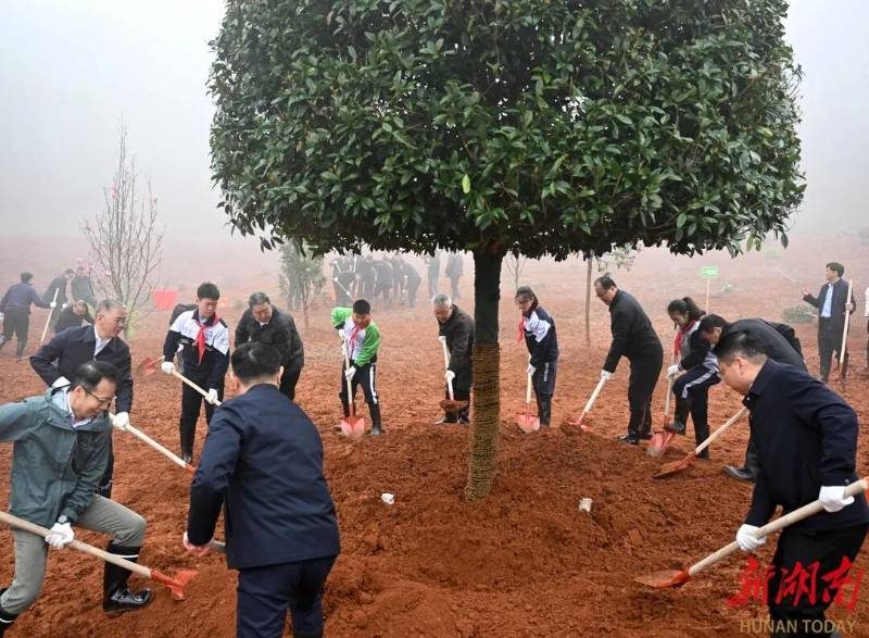 1774501181204117.jpg 1 (1).jpg