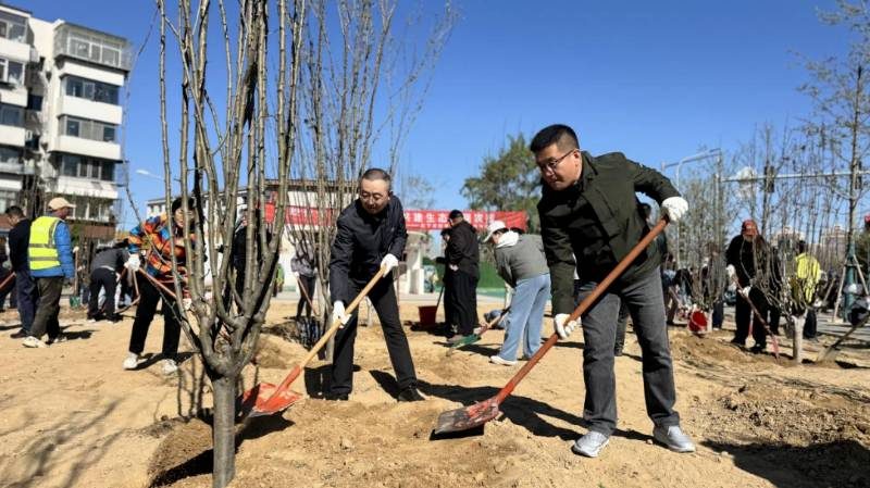 1775615921435148.jpg 7.jpg