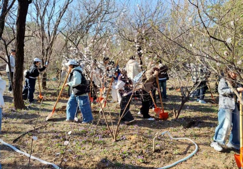 1775615941357260.jpg 8.jpg