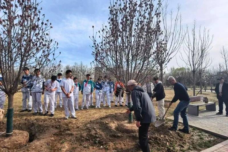 1775616040452828.jpg 16.jpg