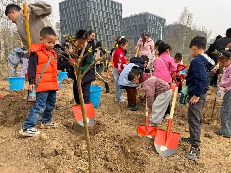 1775616063811943.jpg 14.jpg