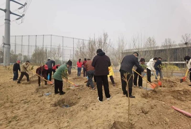 1775616067988689.jpg 15.jpg